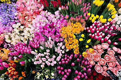 外媒已开始游玩《星空》 媒体评分9月1日0点解禁